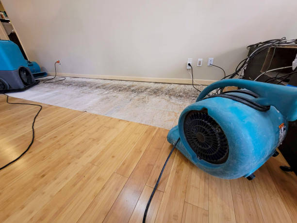 Professional Structural Drying technician working in Penelope, TX